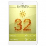 Colorfly S782 Q1 Quad Core A31S Tablet PC 7.85 Inch IPS Screen Android 4.2 1GB R...