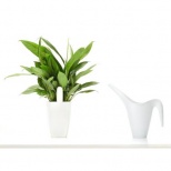 Xiaomi Mi Plant Flowers Tester Light Monitor Garden Testing Tool for pH / Soil Moisture / Humidity / Temperature / Light / Nutrient