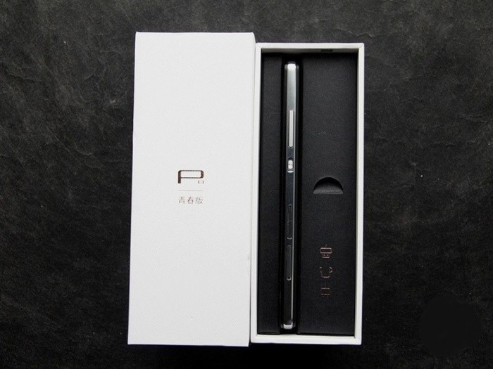 HuaWei Ascend P8-L21
